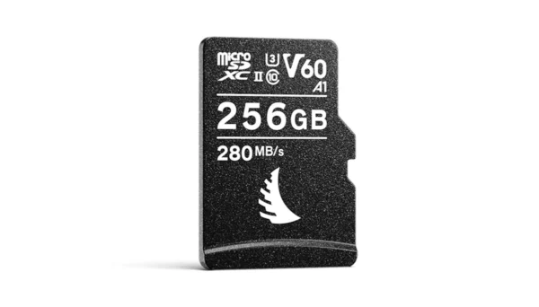 AV PRO SD V60 MK2 256 GB