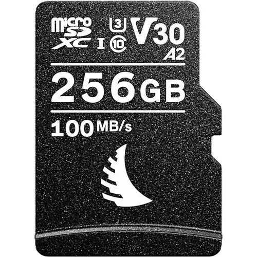 AV PRO microSD V30 256 GB